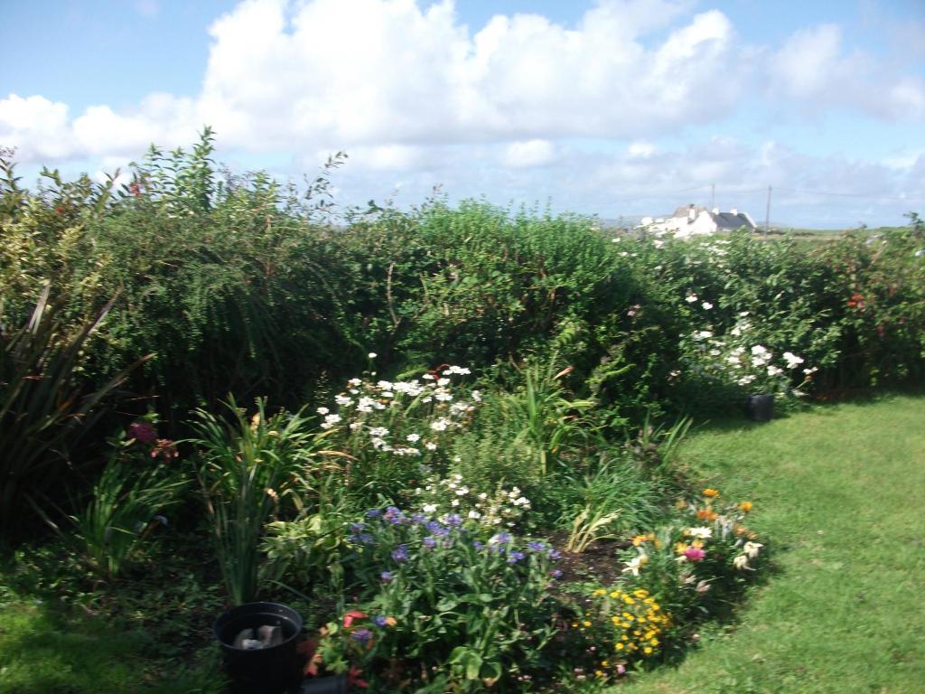 رينفيلي Fuchsia House Bed And Breakfast Connemara المظهر الخارجي الصورة