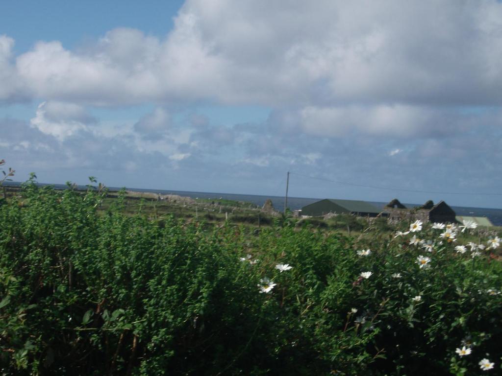 رينفيلي Fuchsia House Bed And Breakfast Connemara المظهر الخارجي الصورة